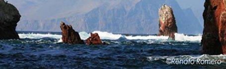 Ballestas Islands, Ica - Peru Natural Regions - My Peru Guide
