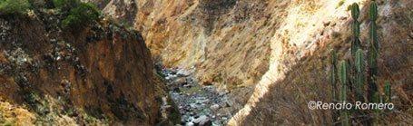Colca Canyon, Arequipa - Peru Natural Regions - My Peru Guide
