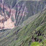 San Galle Oasis, Colca Canyon, Arequipa Attractions - My Peru Guide