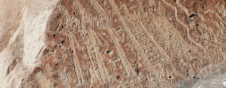 Toro Muerto Petroglyphs, Arequipa Attractions - My Peru Guide Toro Muerto Petroglyphs, Arequipa Attractions - My Peru Guide
