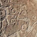Toro Muerto Petroglyphs, Arequipa Attractions - My Peru Guide
