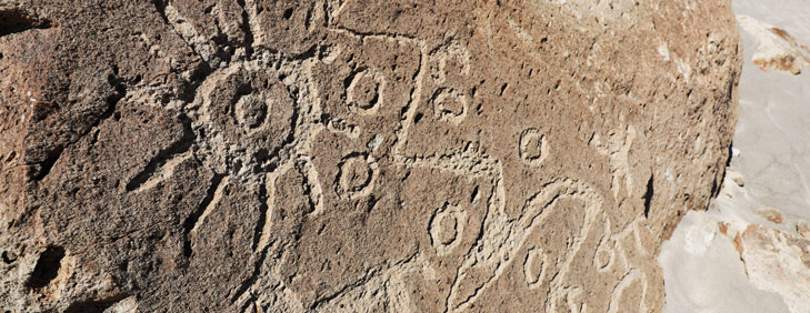 Toro Muerto Petroglyphs, Arequipa Attractions - My Peru Guide Toro Muerto Petroglyphs, Arequipa Attractions - My Peru Guide