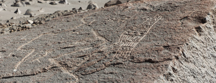 Toro Muerto Petroglyphs, Arequipa Attractions - My Peru Guide Toro Muerto Petroglyphs, Arequipa Attractions - My Peru Guide