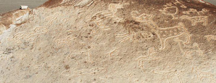 Toro Muerto Petroglyphs, Arequipa Attractions - My Peru Guide