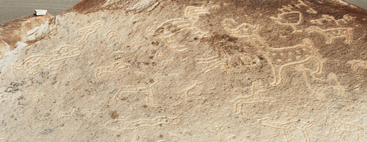 Toro Muerto Petroglyphs, Arequipa Attractions - My Peru Guide Toro Muerto Petroglyphs, Arequipa Attractions - My Peru Guide