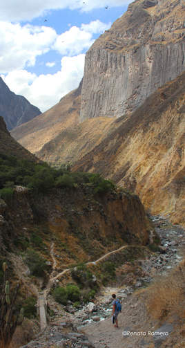 Hiking the San Galle Oasis Trek, Colca Canyon, Arequipa Attractions - My Peru Guide