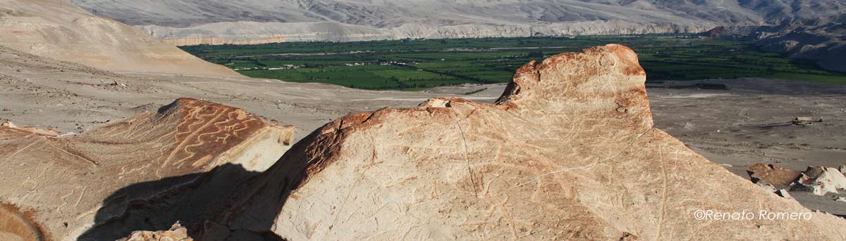 Toro Muerto Petroglyphs, Arequipa Attractions - My Peru Guide Toro Muerto Petroglyphs, Arequipa Attractions - My Peru Guide