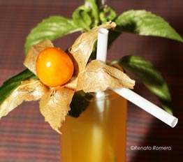 Puno Nightlife - My Peru Guide Puno Nightlife - My Peru Guide