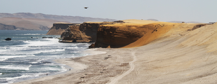 ATV Riding Tour in the Paracas National Reserve, Ica Adventures - My Peru Guide