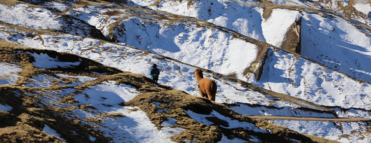 Palcoyo Rainbow Mountain - My Peru Guide Palcoyo Rainbow Mountain - My Peru Guide