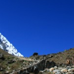 Salkantay Snowy Peak, Cusco Natural Attractions - My Peru Guide
