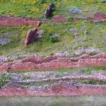 Pikillacta Archaeological Site, Cusco Attractions - My Peru Guide