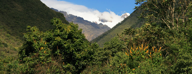 Hiking the Salkantay Trek to Machu Picchu, Cusco Adventures - My Peru Guide Hiking the Salkantay Trek to Machu Picchu, Cusco Adventures - My Peru Guide