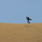 Sandboarding & Buggy Tours, Ica Attractions - My Peru Guide