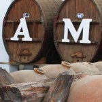 Tacama Winery, Ica Attractions - My Peru Guide