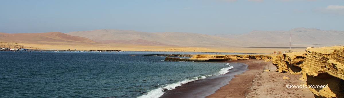 Paracas Natural Reserve, Ica Natural Attractions - My Peru Guide