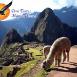 Peru Tierras Magicas Machu Picchu View - My Peru Guide