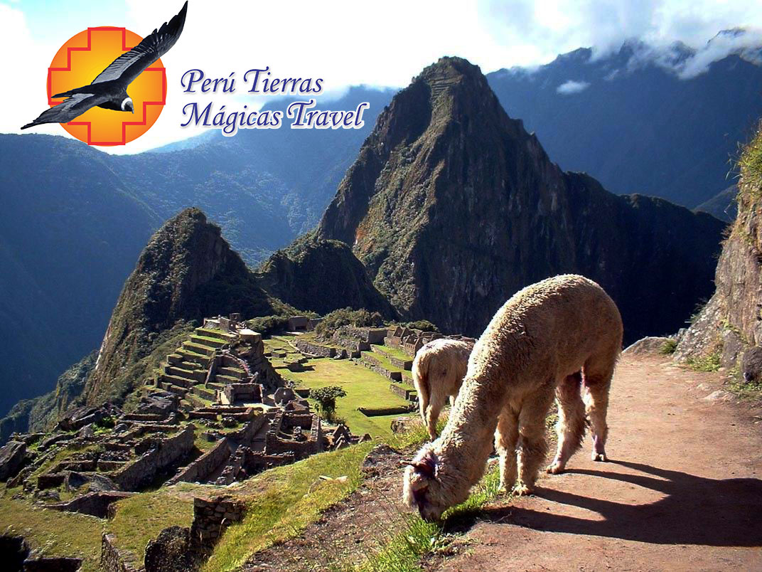 Peru Tierras Magicas Machu Picchu View - My Peru Guide
