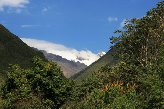 The natural regions of Peru