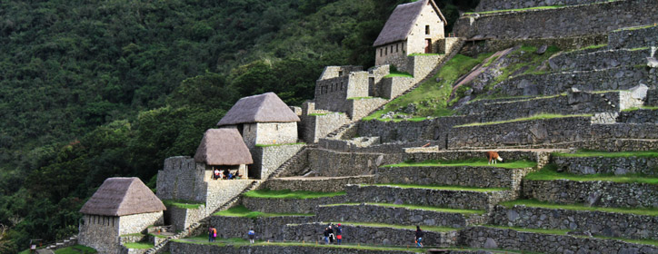 Private Full Day Machu Picchu Tour - My Peru Guide