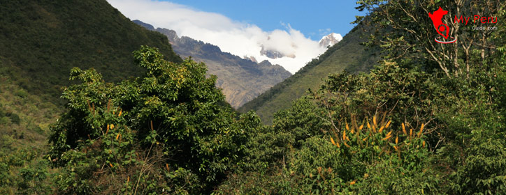 Salkantay Trek to Machu Picchu Tour - My Peru Guide
