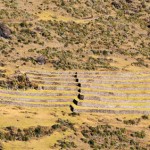Waqrapukara Inca Site, Cusco Attractions - My Peru Guide
