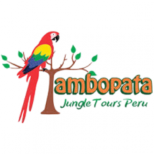 tambopata-jungle-tours